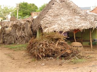 huts in Mangamanuthu